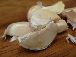 garlic