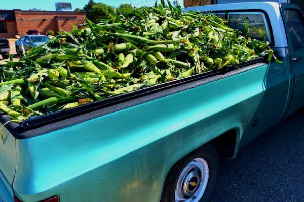 truckload of sweet corn