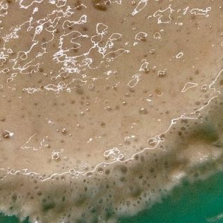 Sourdough Bread Starter-image