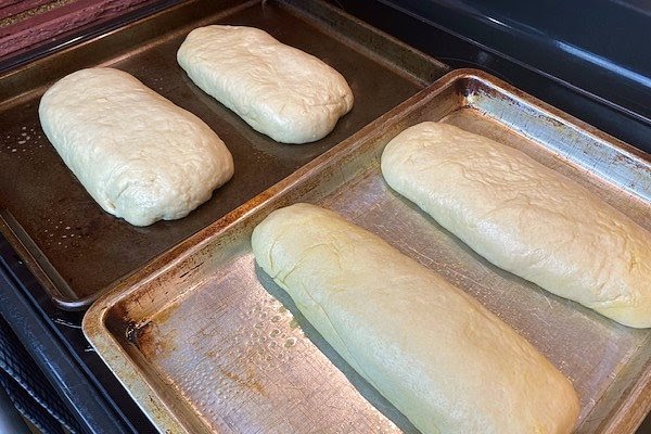 loaves ready to rise