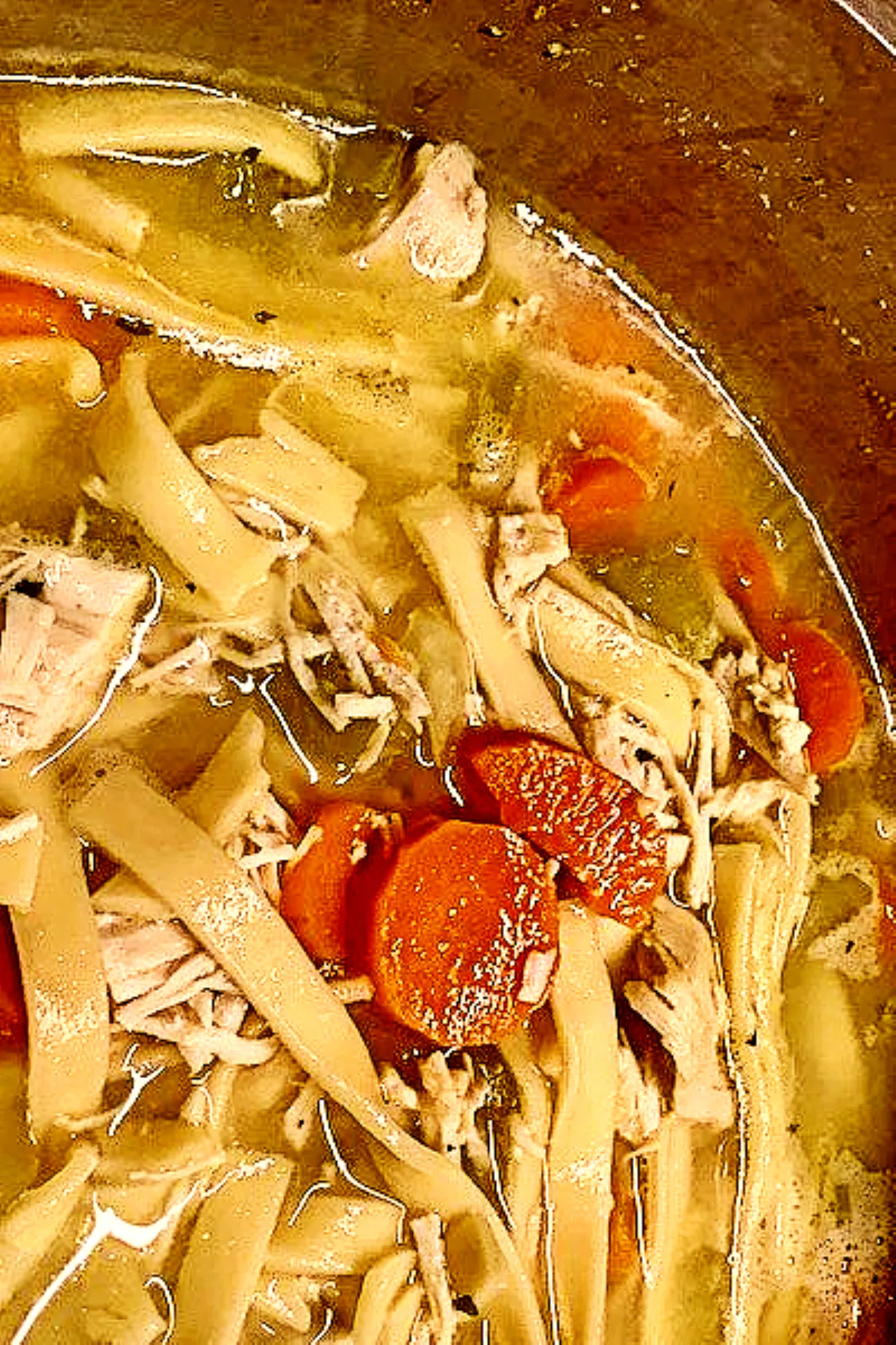 a bowl of chicken noodle soup with carrots, celery and plump noodles