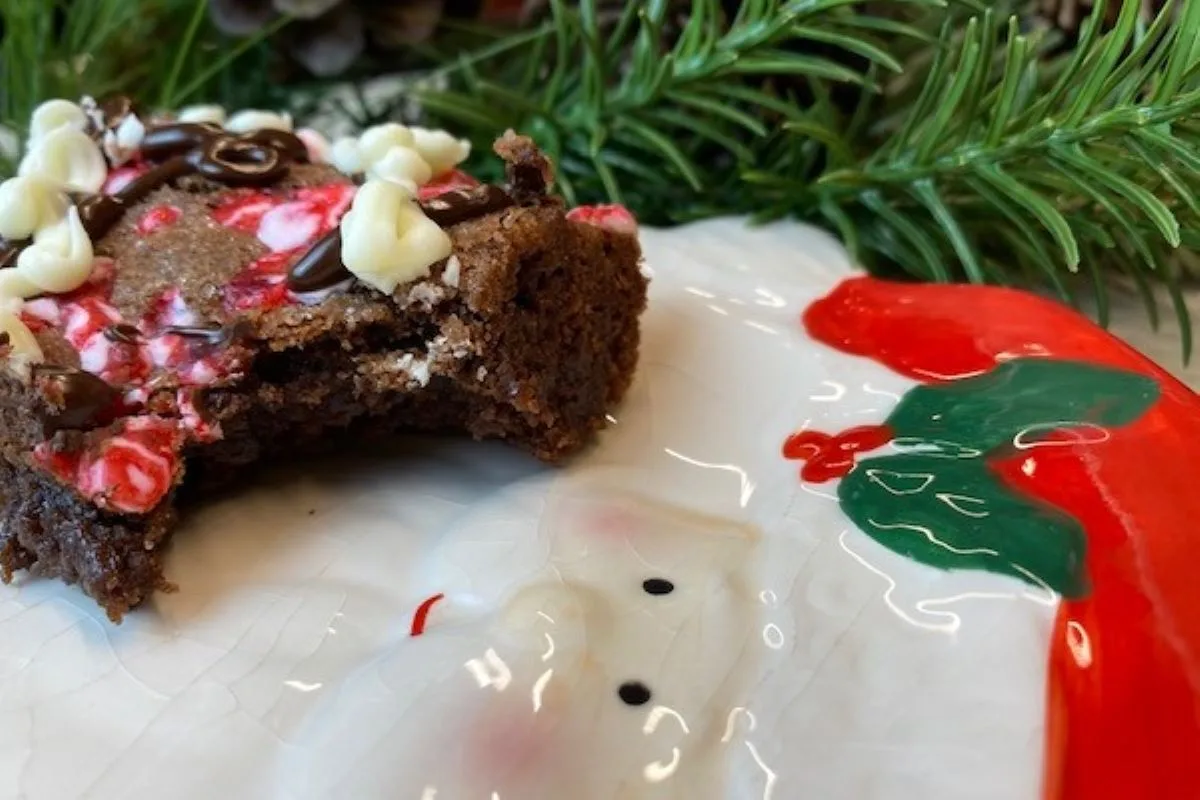 Peppermint Chip Chocolate Brownie Recipe - Mom Always Finds Out