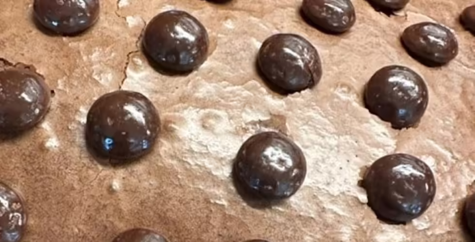 jinior mints on brownies