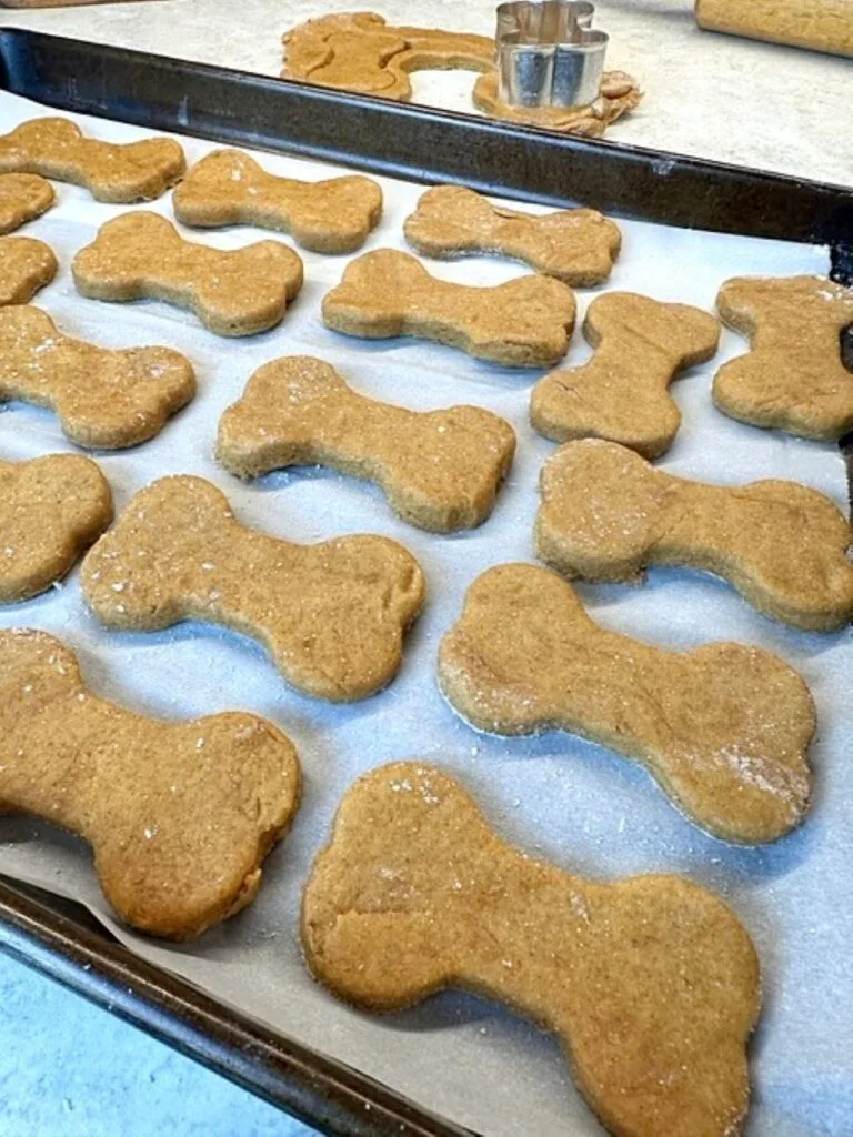 dog treats ready o bake
