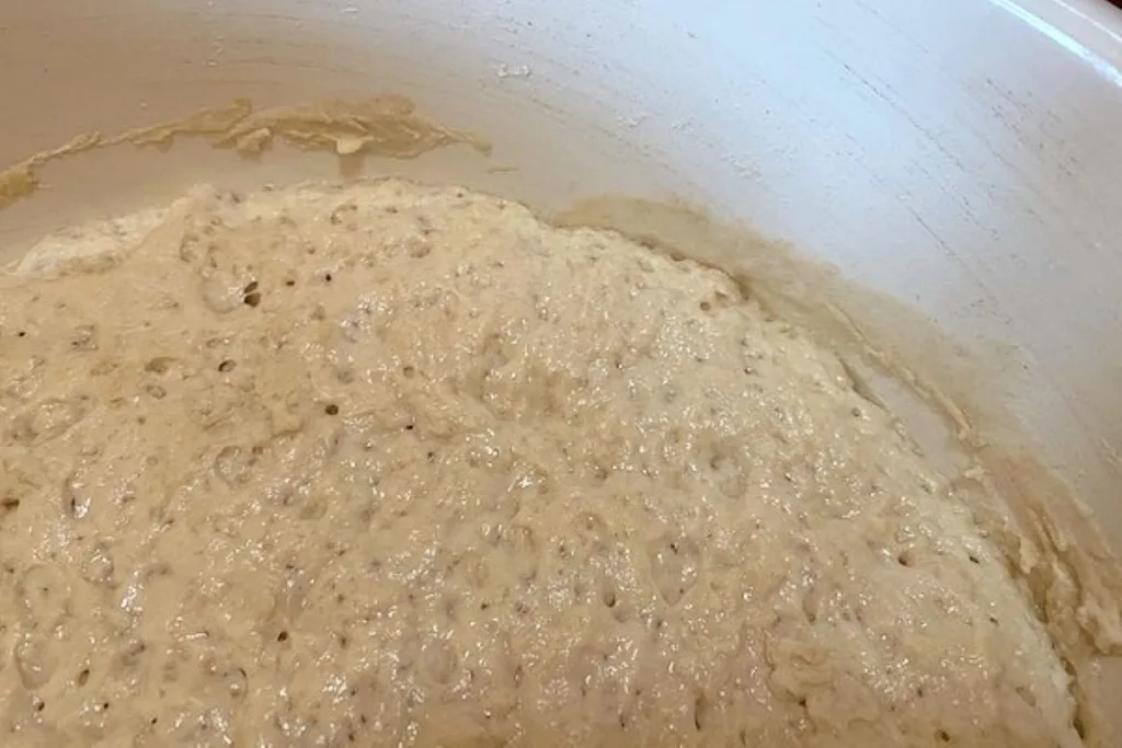 rustic bread dough