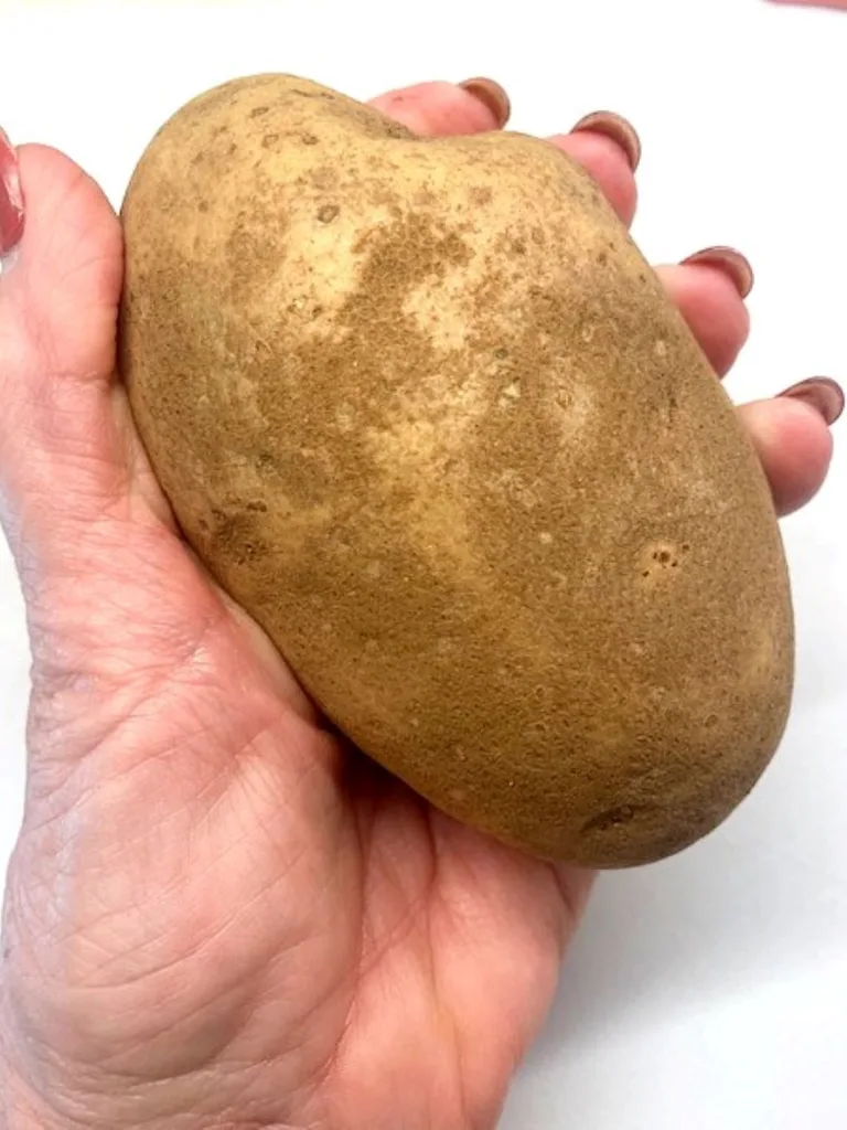 fist-size Russet potato