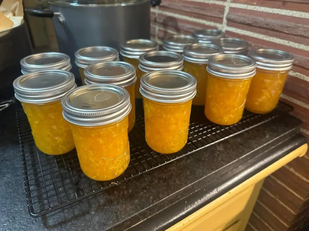how to make orange marmalade