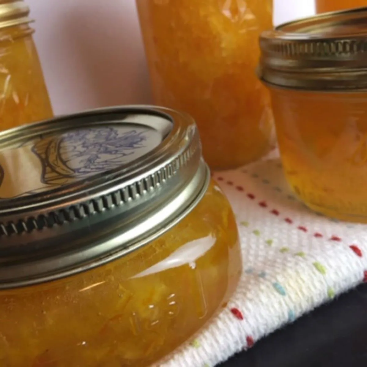 how-to-make-orange-marmalade-it-s-amazing-gb-s-kitchen