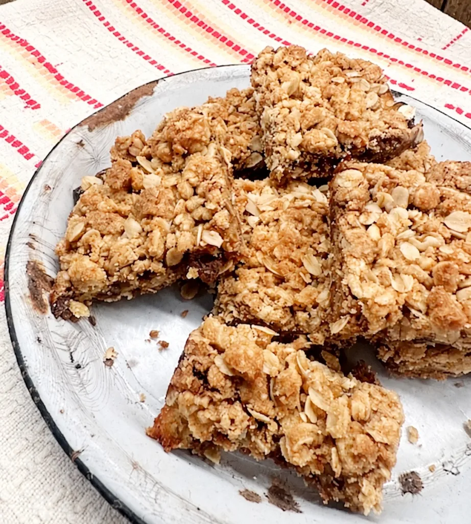 Sour cream raisin bars with oatmeal crust on an antique enamelware plate