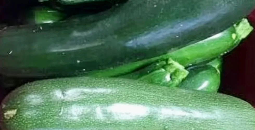 zucchini recipes to use extra zucchini