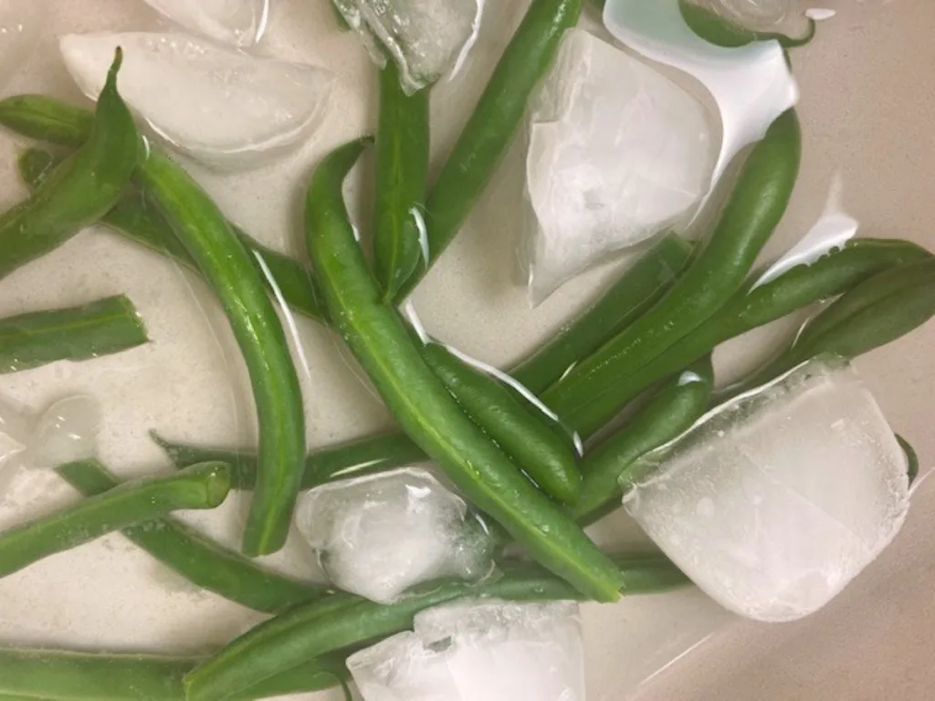 green beans in ice water after blanching
